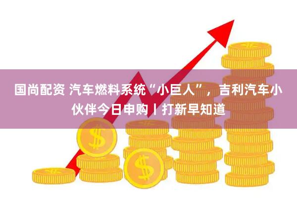 国尚配资 汽车燃料系统“小巨人”，吉利汽车小伙伴今日申购丨打新早知道
