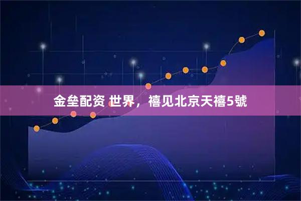 金垒配资 世界，禧见北京天禧5號