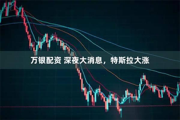 万银配资 深夜大消息，特斯拉大涨